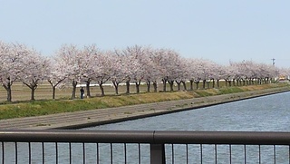 DCIM0977 (1).JPG