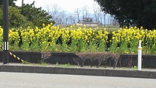 DCIM0979.JPG