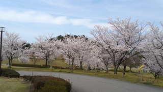 DCIM0987.JPG