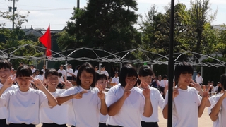 芦城A.jpg