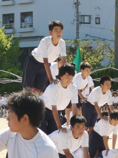 芦城D.jpg