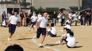 芦城E.jpg
